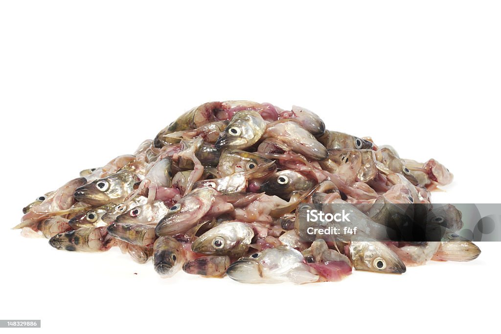 Pilha de peixe heads - Royalty-free Adubo - Fenómeno Natural Foto de stock