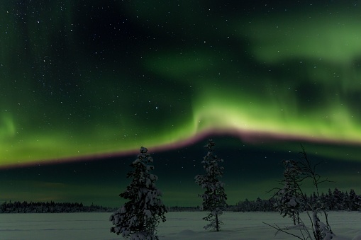 A landscape of a snowy field under the Northern Lights in Lapland