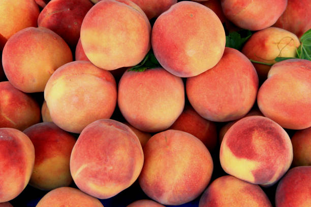 grandi pesche dolci arancio-rosa mature succose - nectarine peach red market foto e immagini stock