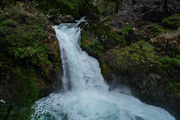 Los Alerces Waterfall Los Alerces Waterfall in Nahuel Huapi National Park nahuel huapi national park stock pictures, royalty-free photos & images