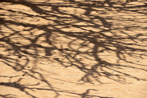 Gorée Island, Dakar, Senegal: pattern of branches, shadow of a baobab tree on the sand of Government Square / Palace Square - backgrounds.