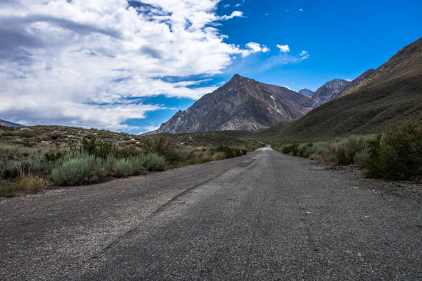 istock Twin Lakes Eastern Sierra Mono Lake 1483312119