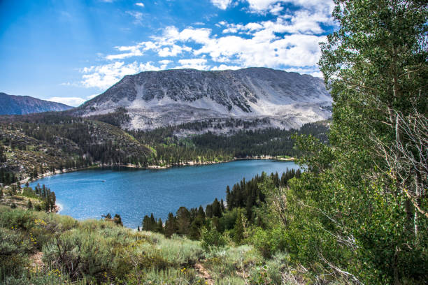 istock Twin Lakes Eastern Sierra Mono Lake 1483312196