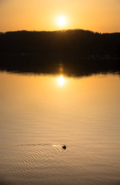 istock Beautiful lake landscape 1483312200