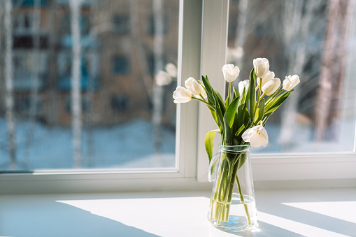 Bouquet of white tulips in a glass decanter on the windowsill.