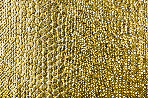 Imitation leather reptile gold color. Artificial skin texture of a crocodile, snake, lizard.