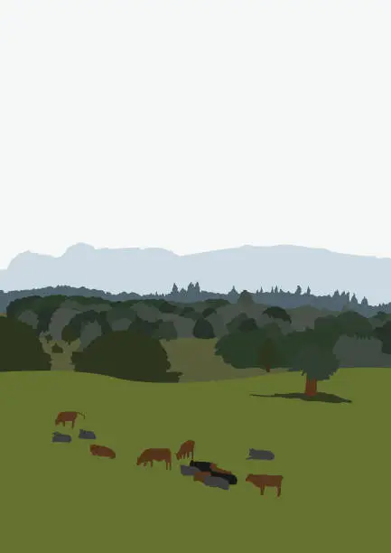 Vector illustration of Cows