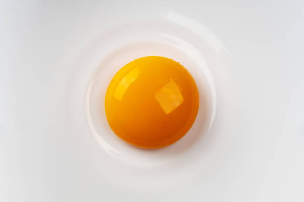 istock Egg yolk on the plate. Abstract fried eggs. Close up. 1483316172