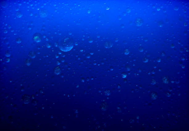istock Drops sparkling in the blue water 1483316476