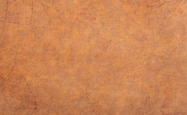 istock vintage background from retro paper closeup 1483317955
