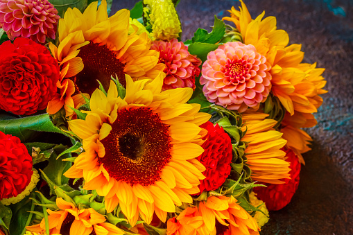 Red and pink dahlia and sunflowers bouquet close up