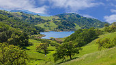 Calero Reservoir with Lushy Green Oak Forest and Grasslands. Calero County Park, Santa Clara County, California, USA.