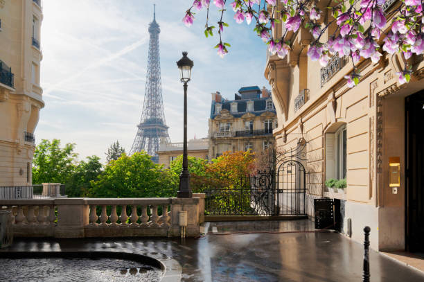 istock eiffel tour and Paris street 1483321061