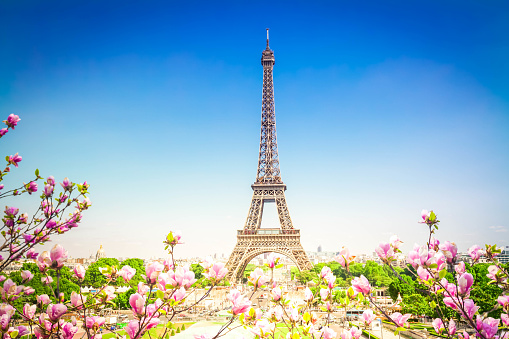 Eiffel Tower and Paris cityscape in spring sunny day with tree flowers, France