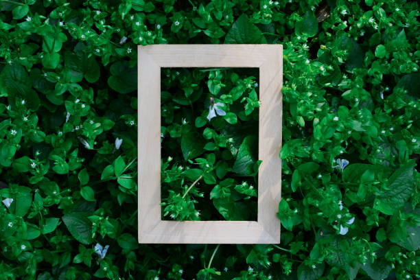 istock wooden empty frame on green leaves natyre background, free space 1483321503