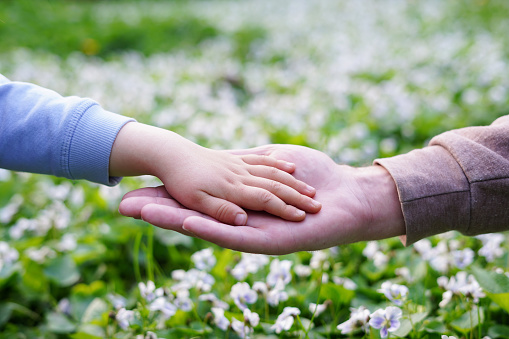 Father holds daughter by the hand close-up. nature background, Support and family love