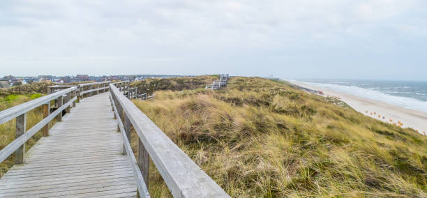 istock Dune hiking trail of Sylt Germany 1483322895