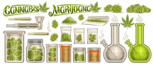 Vector Cannabis Set Vector Cannabis Set, lot collection of cut out illustrations glass jars with medicinal recreational cannabis, group of green weed buds in plastic bags, text cannabis and marijuana on white background blunt stock illustrations