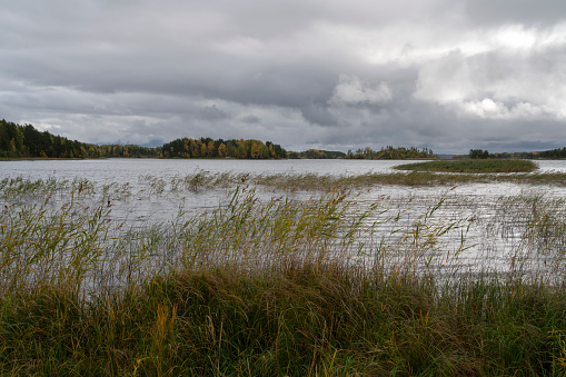 View of the Lake Ladoga near the village Lumivaara on a cloudy autumn day, Ladoga skerries, Republic of Karelia, Russia