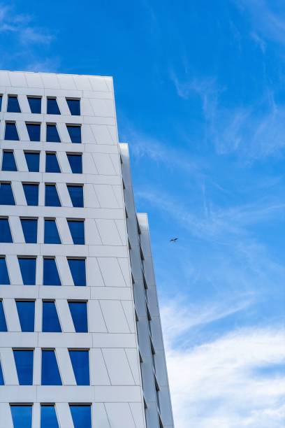 istock A seagull flying over a towering skyscraper with its shining blue exterior, surrounded by wispy clouds on a bright and sunny day. 1483328335