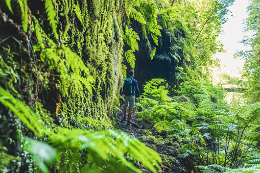 Description: Atlhletic backpacker man walking on a fern covered gorge with old bridge somewhere in Madeiran rainforest in the morning. Levada of Caldeirão Verde, Madeira Island, Portugal, Europe.