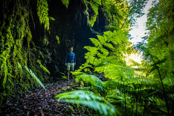 istock Atlhletic backpacker man walking on a fern covered gorge with old bridge somewhere in Madeiran rainforest in the morning. Levada of Caldeirão Verde, Madeira Island, Portugal, Europe. 1483328814