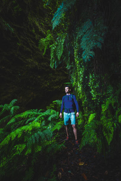 istock Atlhletic backpacker man walking on a fern covered gorge with old bridge somewhere in Madeiran rainforest in the morning. Levada of Caldeirão Verde, Madeira Island, Portugal, Europe. 1483328980