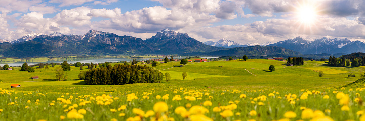 panoramic view to rural landscape with mountain range and meadow at springtime