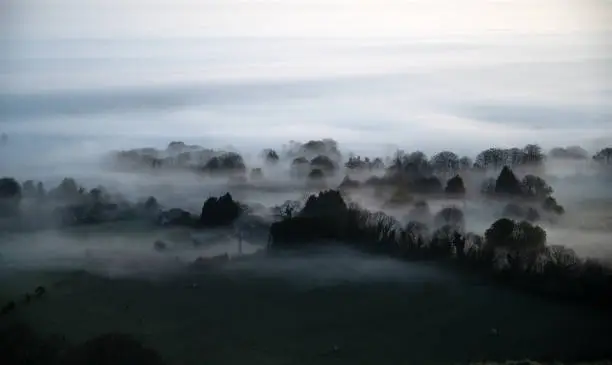 Photo of Image of rural landscape emerging from a sea of early morning fog.