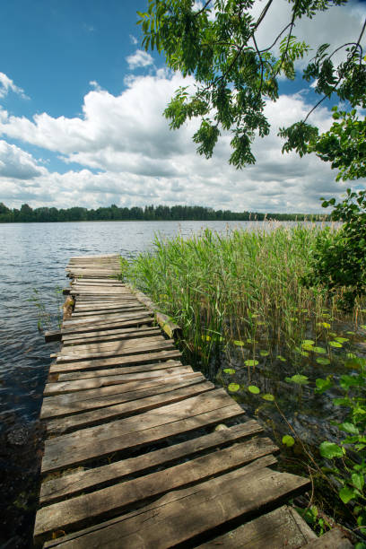 istock Lakeside on a sunny summer day 1483338428