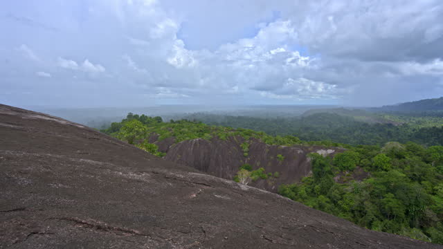 Timelapse of incoming rain clouds above the rainforest in Suriname