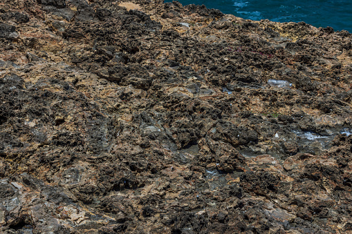 Closeup view of rock texture of coastline of Atlantic Ocean on island of Aruba.