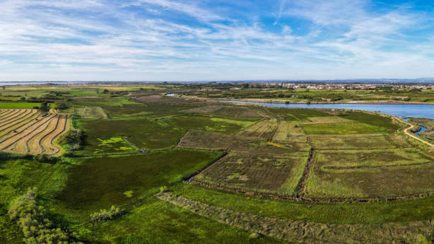 istock Aerial view of cultivated fields 1483340615