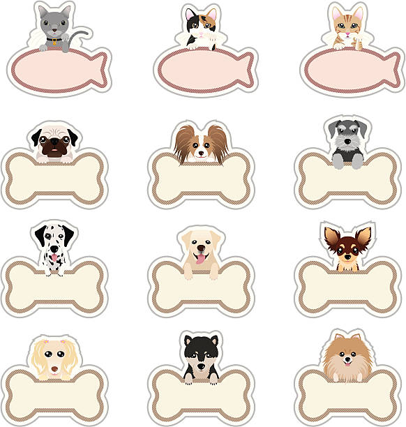 ilustraciones, imágenes clip art, dibujos animados e iconos de stock de perro/cat_nameplate - papillon
