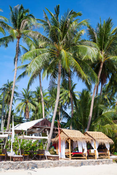 Relaxation beds of bamboo at beach of West Ko Samui between palm trees north of Nathon