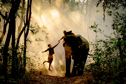 Silhouette of one boy jump and touch hand of the other boy stay on back of elephant with sun beam light in background.