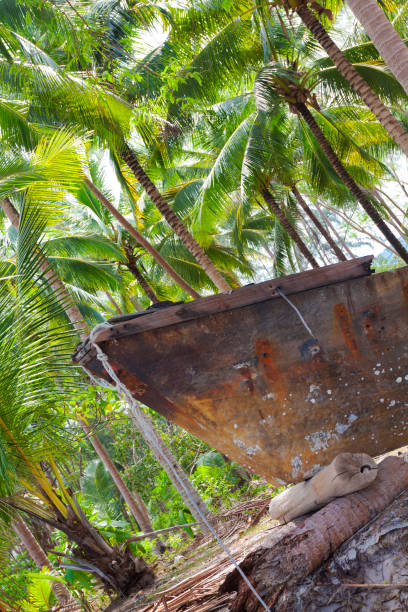 Barco velho danificado entre as palmeiras na costa de Ko Samui - foto de acervo