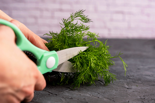 kitchen scissors cutting dill in the kitchen on a cutting board in the kitchen. Close-up of kitchen accessories. cooking. Fresh greens. Healthy eating.