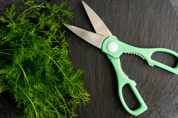 istock kitchen scissors cutting dill in the kitchen on a cutting board 1483347261
