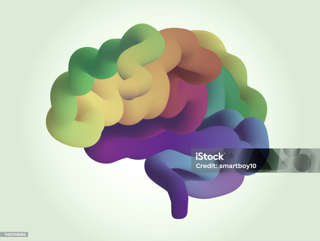 Stylized Brain Vector Stylized Human Brain Stock Illustration - Download Image Now - Mental ...