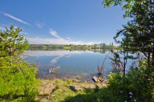 istock Tatla Lake shore 1483350662