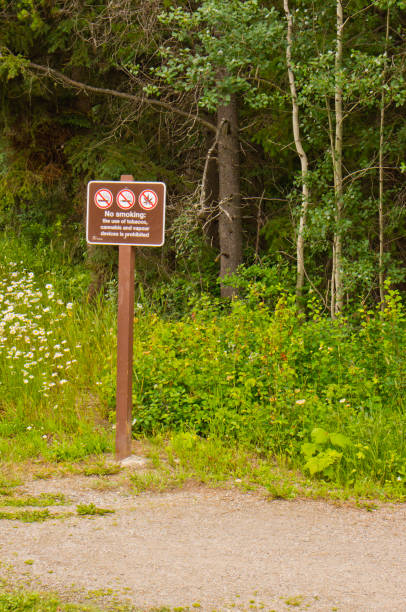 istock No smoking sign in park 1483350699