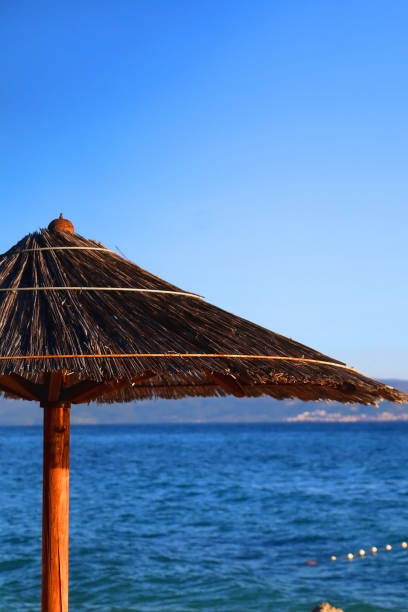 istock Bamboo Parasol and Sea 1483350883