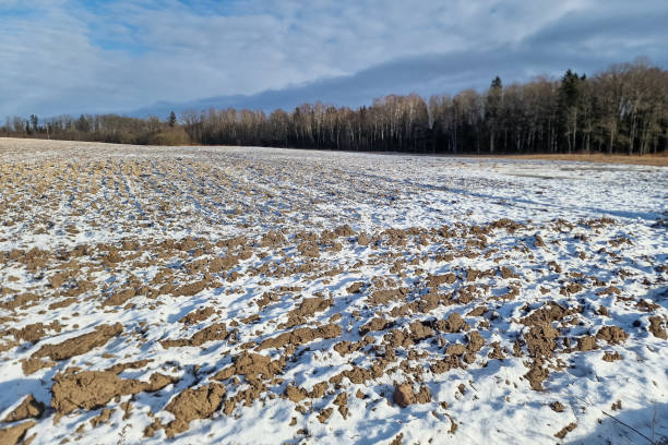 istock Plowed field in sunny winter day. 1483352387