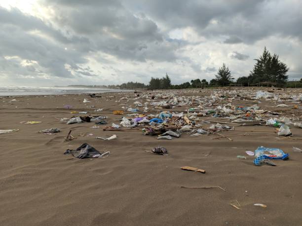 istock Plastic Pollution on the Beach: A Call for Action 1483355090