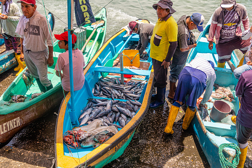 Santa Rosa, Ecuador - March 24, 2023: Santa Rosa fish market. Artisanal fishermen return home after a night of fishing in the ocean and sell their products on the pier. Ecuador, province of Santa Elen