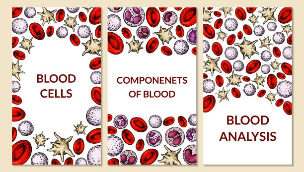 набор фонов клеток крови. дизайн для анализа �крови, анемии, донорства, гемофилии, лабораторных научно-исследовательских концепций. векторн� - virus science research blood flow stock illustrations