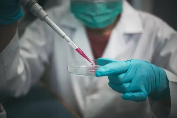 Photo of Closeup shot of a medical researcher using a micropipette to add drops of developed red drug liquid 
in testing the biological activity with culture cells in a laboratory.