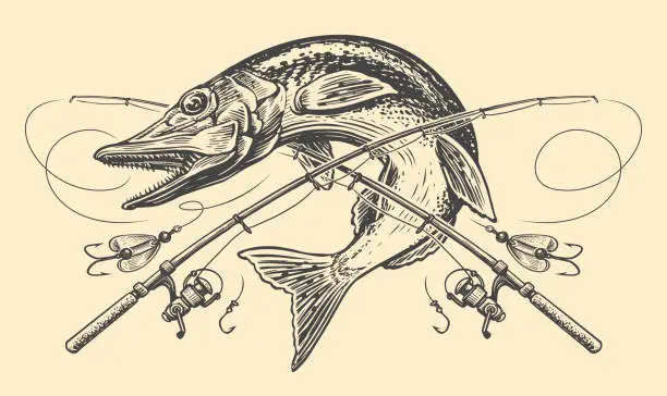 Vector illustration of Pike fish, crossed rods and tackle emblem. Fishing, outdoor sports lifestyle concept, sketch vintage vector illustration
