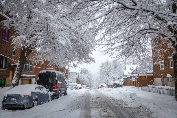 Montreal, Sherbrooke Street after a beautiful snowstorm. The urban landscape is of great beauty. The snow sticks to the trees.